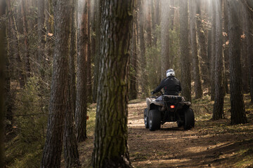 biker in the woods © Sieku Photo