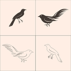 bird logo on black and white design.