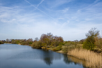 Amsterdamse Waterleidingduinen