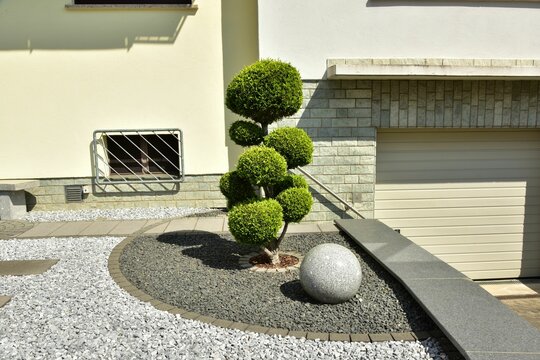 Moderne Vorgartenanlage/Ziergarten in Schottersubstrat mit Zierpflanzen aus der G&auml;rtnerei