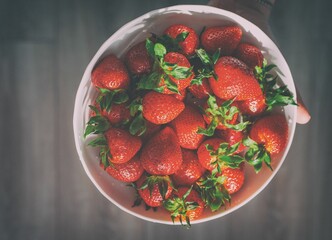 A white plate filled with fresh red strawberries and green stems under bright sunlight casting shadows. Strawberry background.