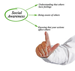 Three Facets of Social Awareness