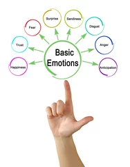 Poster Woman Presenting Eight Basic Emotions © Dmitry