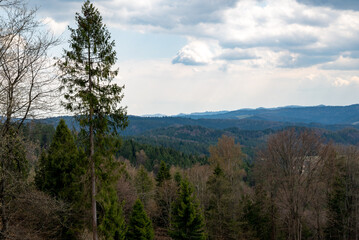 Fototapeta na wymiar Park mountain in Krynica Zdrój in Beskid Sądecki.