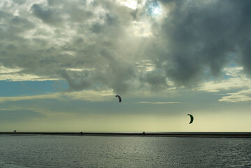 Cerf-volant