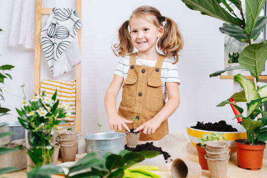 Grinning little girl planting a small seedling in a paper case.