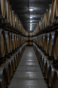 Corridor in a wine cellar with wooden barrels stacked in darkness