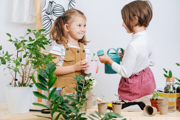 Cheeky girls watering a seedling in a cup together, looking at each other