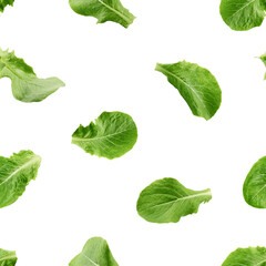 Romain Lettuce leaf isolated on white background, SEAMLESS, PATTERN