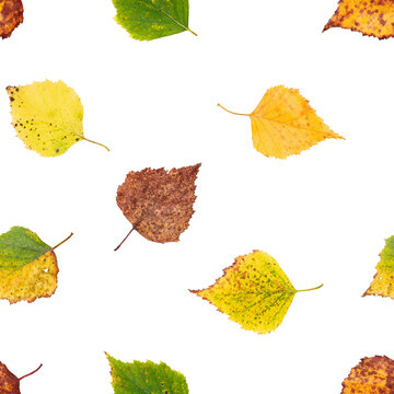 autumn concept, leaves isolated on white background, SEAMLESS, PATTERN