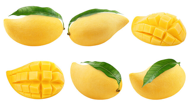 yellow mango isolated on white background, clipping path, full depth of field