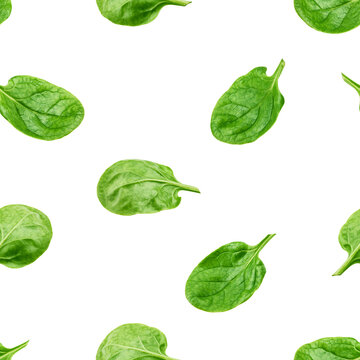 Spinach isolated on white background, SEAMLESS, PATTERN