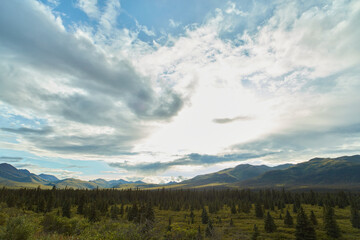 Fototapeta na wymiar Denali National Park