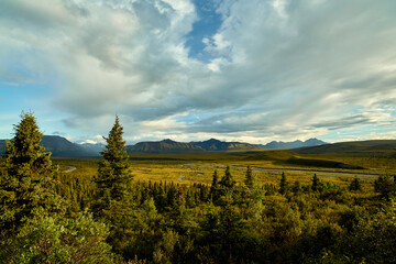 Naklejka premium Denali National Park