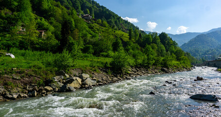 river flowing in lush nature