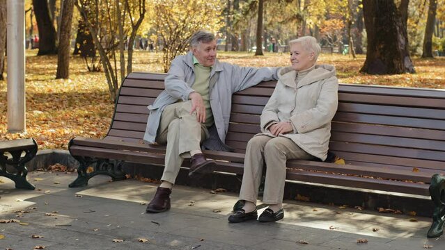Mature caucasian older strangers couple sit on bench retired senior man arrange meeting with grey haired pretty middle aged single woman flirt talk enjoy conversation outdoors romantic relationships