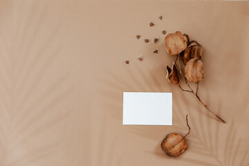 Minimal aesthetic background with blank card and dry floral branch on beige background. Wedding invitation template. Flat lay, top view, mock up, copy space .