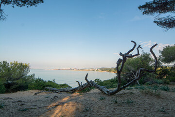 LAS TERRAZAS TARRAGONA ESPAÑA