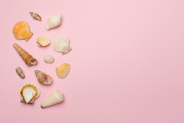 Sea shells on color background, top view. Summer concept