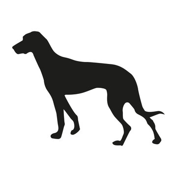 dog silhouette vector