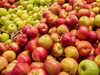 Fresh ripe garden apples. Boxes filled with apples of different varieties and colors.