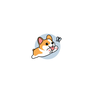 Cute pembroke welsh corgi dog playing with butterfly cartoon, vector illustration