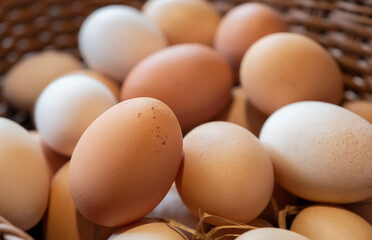 fresh eggs inside a wooden basket  at agriculture farm.