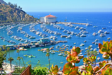 Ocean view over looking rows of boats anchored in Avalon Bay Harbor at Santa Catalina Island off...