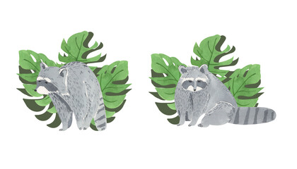 Watercolor Raccoon Composition. Tropical leaves, leaf, forest animal, nature