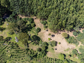 beautiful green valley with coffee, eucalyptus and banana plantation, drone aerial view - Venda Nova, Espirito Santo, Brazil