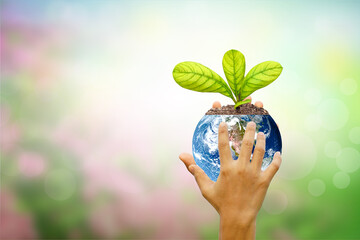 world environment day.hand holding glass globe ball with tree growing and green nature blur background