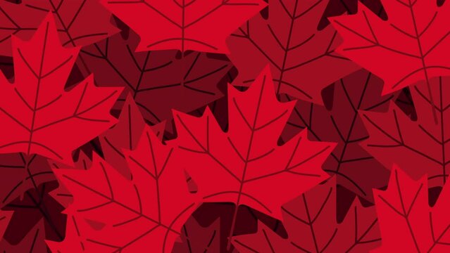 canadian leafs pattern celebration animation