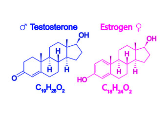 Humain Sex Hormones Molecular Formula. Estrogen And Testosterone Symbole. Chemical And Skeletal Formula. Vector Illustration. - obrazy, fototapety, plakaty