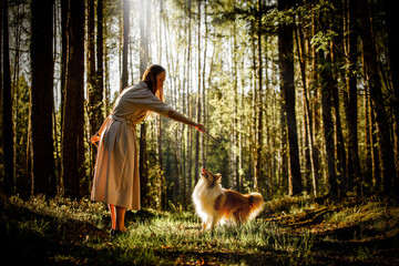 The dog owner plays with the pet in the forest. A girl in a long dress trains a fluffy Sheltie.