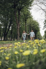 Fototapeta premium a couple in love walks in the park. on the front lan dandelions