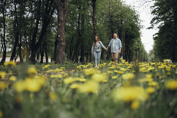 a couple in love walks in the park. on the front lan dandelions