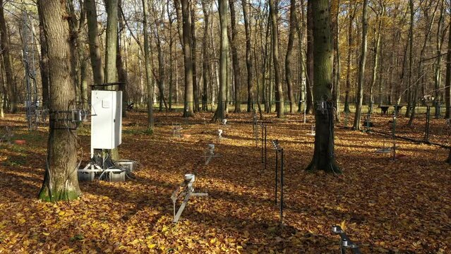 Science station scientific measurement of respiration tree trunk floodplain soil forest carbon dioxide, co2 global change, climate change, temperature research, modern methods, technology tower gas