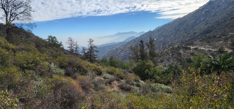 PARQUE NACIONAL PALMAS DE OCOA CHILE 