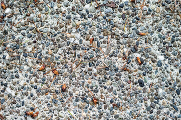 Rough cement backdrop