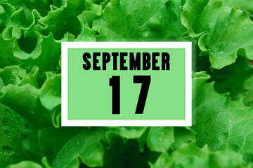 calendar date oncalendar date on the background of green lettuce leaves.  September 17 is the...