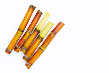 Sugar cane on white background.