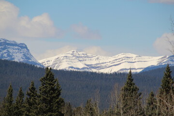 Snowy Ridge, Nordegg, Alberta
