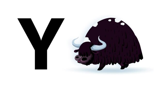 Y letter big black like yak cartoon animation. Animal loop. Educational serie with bold style character for children. Good for education movies, presentation, learning alphabet, etc...
