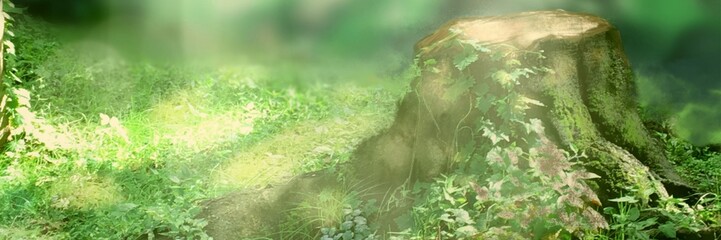 The Illustration of Sunbeams and stumps in the forest	
