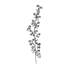 Artemisia absinthium, wormwood hand drawn vector ink sketch isolated on white, Also called absinthium absinthe wormwood, Common Wormwood herb, Absinthe plant, Doodle Healing for design alcohol