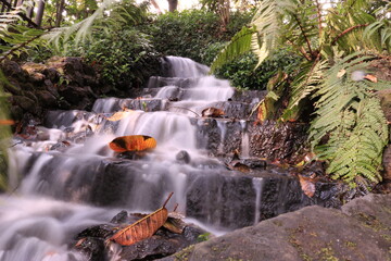 Waterfall and nature