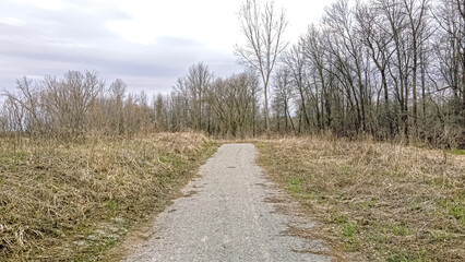 Fototapeta na wymiar Springtime has arrived with a trail following woods