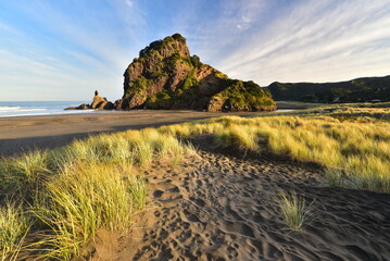 Lion Rock at Piha Beach, New Zealand