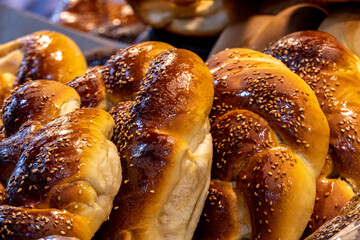 Challah special breed of Jewish origin for ceremonial occasions.