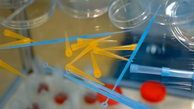 New sets of bacteriological loops, pipette tip, petri dishes are presented on a glass shelf. Close up. Shot in motion